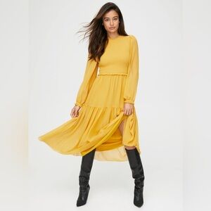 Aritzia Wilfred Rosalyn Dress